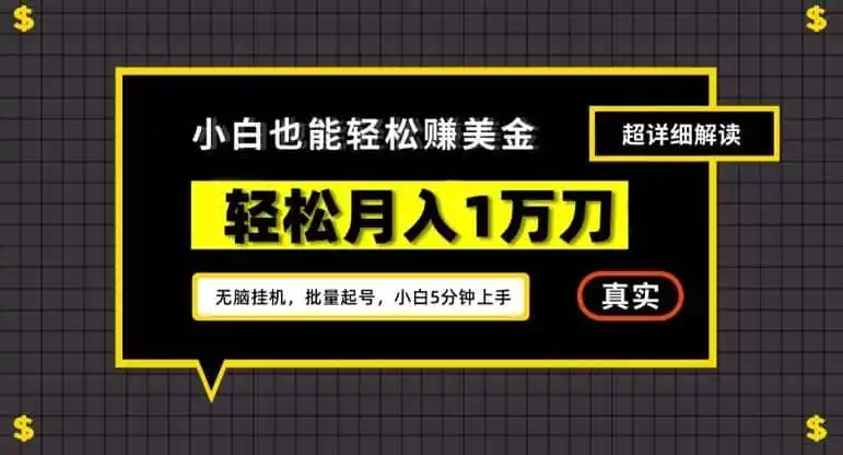 谷歌看广告撸美金2.0,无脑挂机,多号操作,月入1万刀【揭秘】
